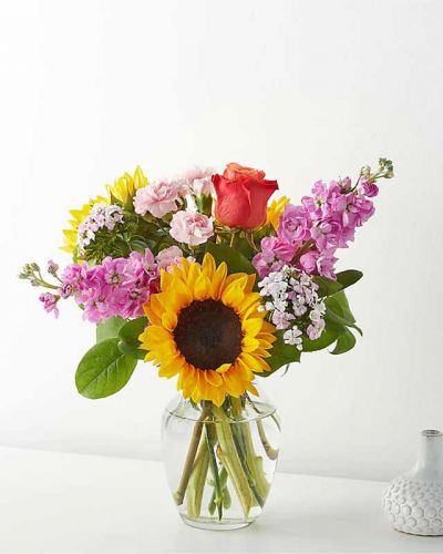 Transport her to the Land of Oz with this enchanting mix of sunflowers, Sweet William dianthus, and mini carnations.