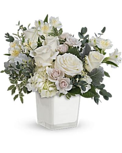 <p>&nbsp;</p>
<div id="mark-3" class="m-pdp-tabs-marketing-description">As serene as soft white clouds floating in a crisp blue sky, this elegant white rose bouquet in a simple glass cube brings peace and beauty to any occasion.</div>
<p>&nbsp;</p>
<div id="desc-3">This peaceful arrangement includes white hydrangea, white roses, white spray roses, white alstroemeria, dusty miller, white limonium, parvifolia eucalyptus and pitta Negra.</div>