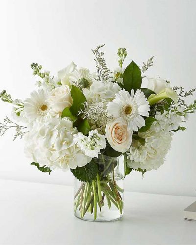 <p>There's nothing plain about this beautiful bouquet. Filled with white roses, hydrangeas, gerbera daisies, mini calla lilies, and Limonium, this classic arrangement is the epitome of taste.</p>