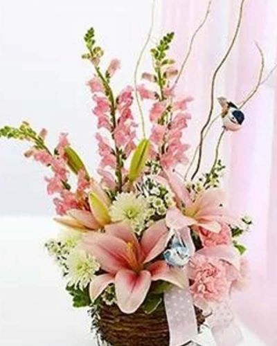 Capture their inner nesting instinct with this Welcome to the World Arrangement sure to delight the new parents. A charming bird's nest basket is filled with a gorgeous arrangement of lilies, snapdragons, carnations and more designed in a charming bird's nest basket and accented with stylish ribbon and a pair of playful bird picks.