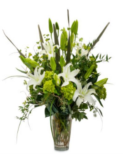 <p>Fresh and festive, this gorgeous display features an elegant combination of premium foliage, green hydrangea and hybrid lilies in a clear vase.</p>